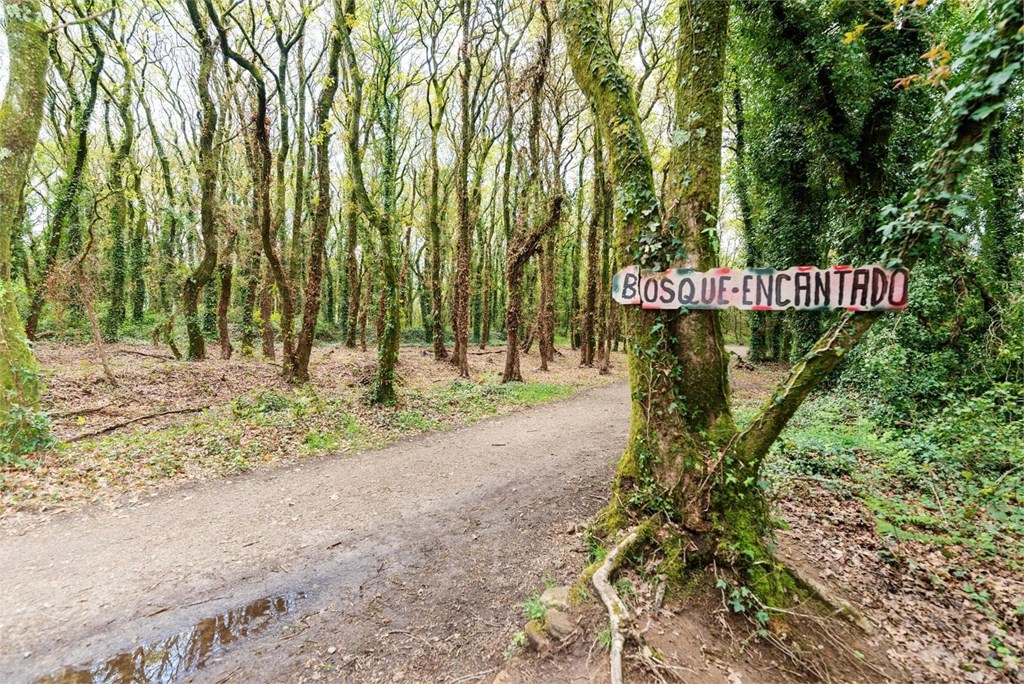 5 rutas naturales cerca de Santiago que debes conocer