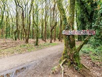 5 rutas naturales cerca de Santiago que debes conocer