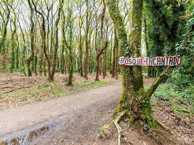 5 rutas naturales cerca de Santiago que debes conocer