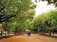 Actividades que puedes hacer en tu próxima escapada a Santiago: ¡toma nota!