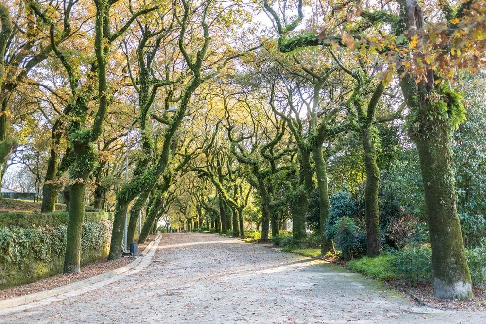 Conoce el Parque de la Alameda esta primavera