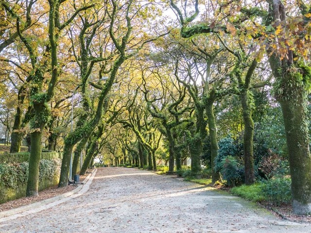 Conoce el Parque de la Alameda esta primavera