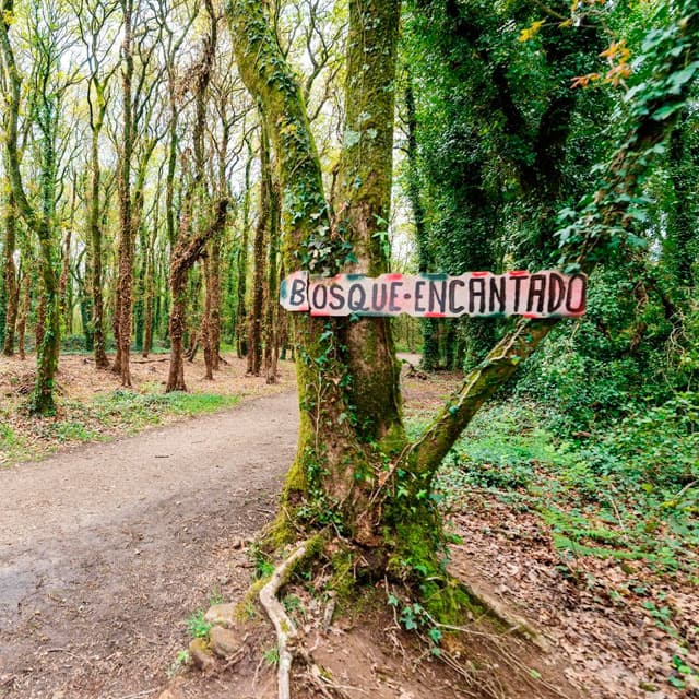 Entorno natural del Hotel Castro en Santiago de Compostela, en el Camino Inglés